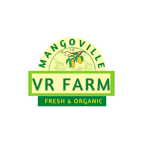 VR Mangoville Logo